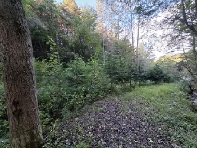 B000421202501300008821.jpg