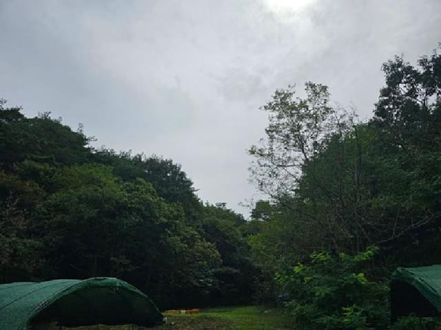B000421202501300008941.jpg