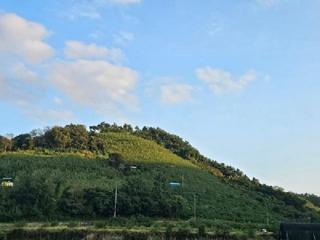 B000421202501300009041.jpg