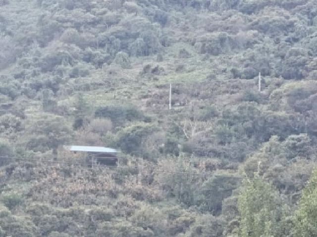 B000421202501300009142.jpg