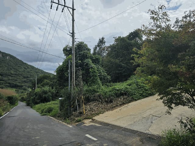 B000421202501300009194.jpg