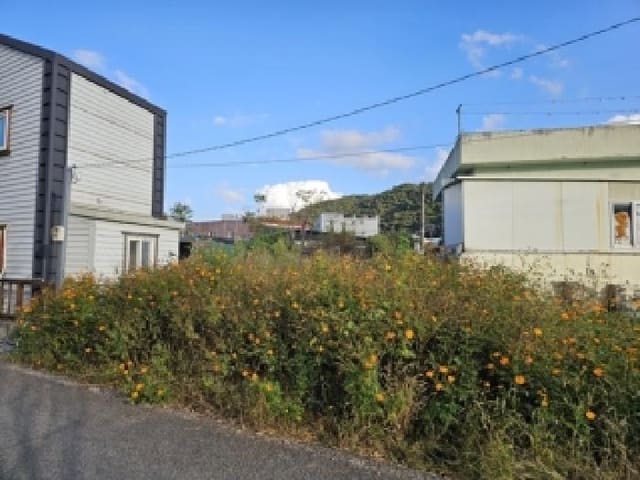 B000421202501300009343.jpg