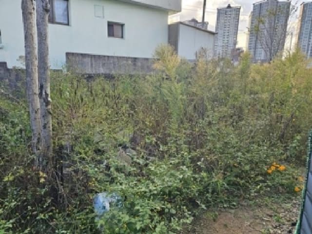 B000421202501300009342.jpg