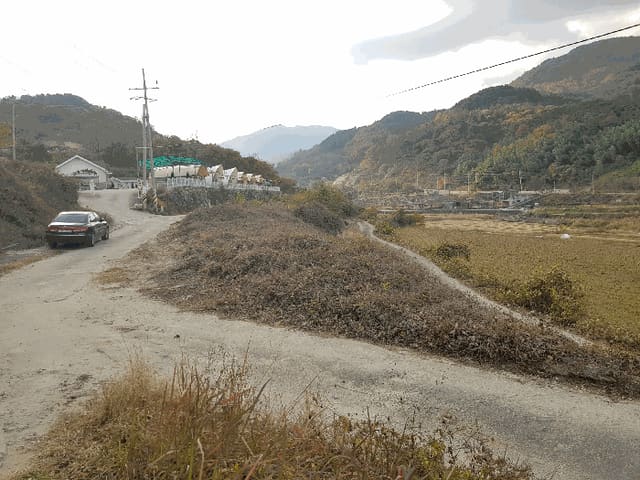 B000421202501300010073.jpg