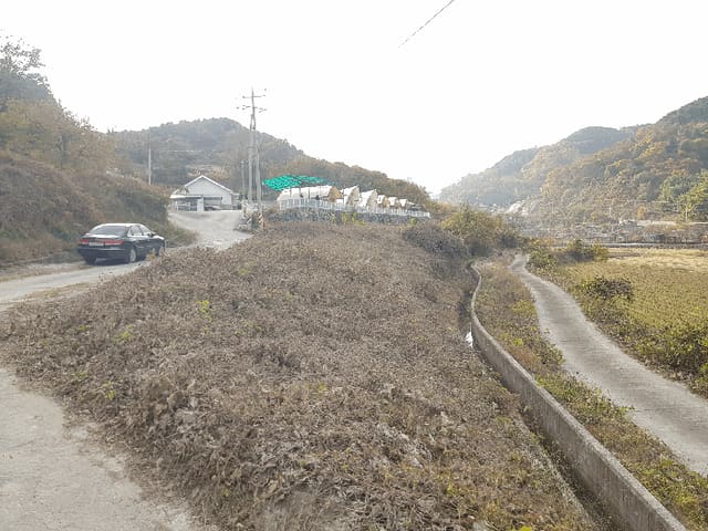 B000421202501300010074.jpg