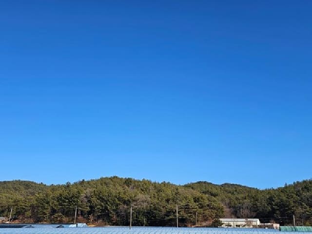 B000421202501300010263.jpg