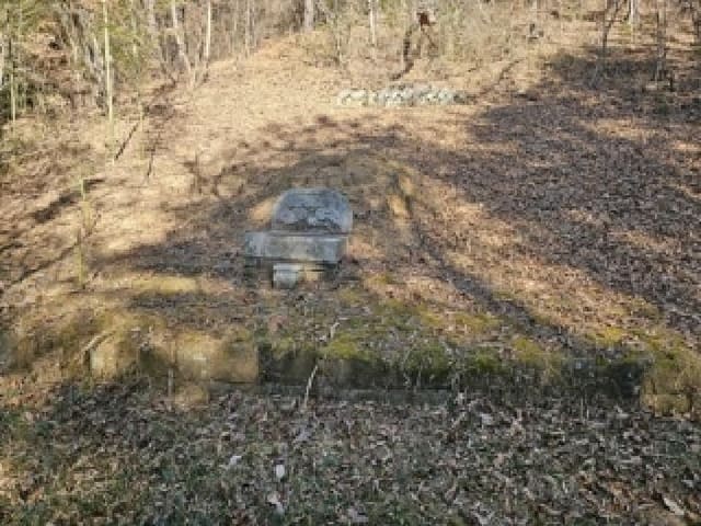 B000421202501300010264.jpg