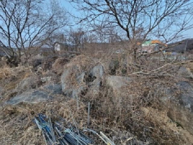 B000421202501300300444.jpg