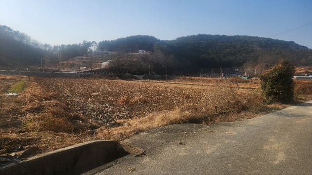 B000421202501300301504.jpg