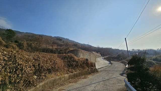 B0004212025013003019812.jpg