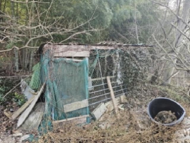 B000421202501300303414.jpg