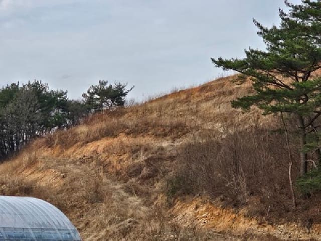 B000421202501300305961.jpg