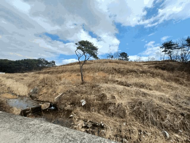 B000421202501300305964.jpg