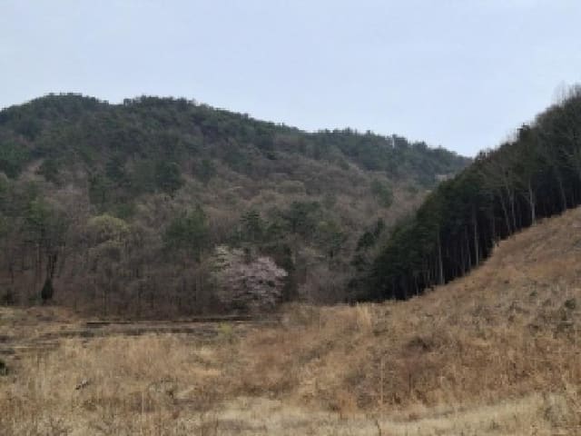 B000421202501300306041.jpg