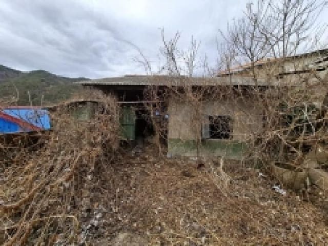 B000421202501300306181.jpg