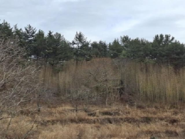 B000421202501300306183.jpg