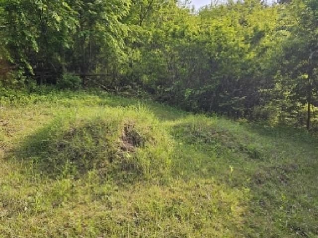 B000421202501300306411.jpg