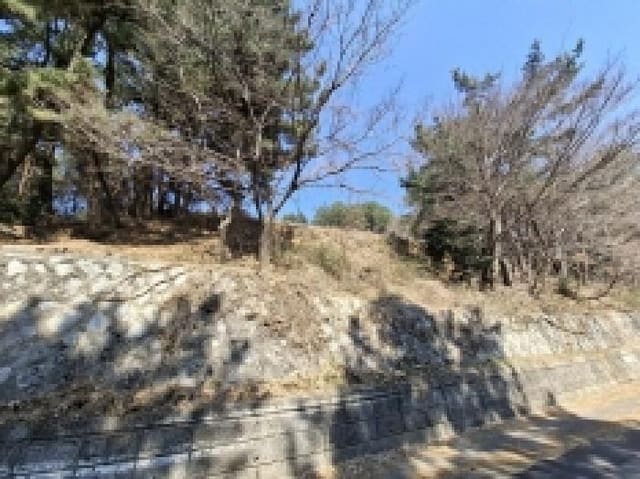 B000421202501300306552.jpg