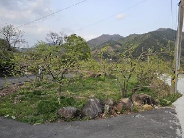 B0004212025013003067628.jpg