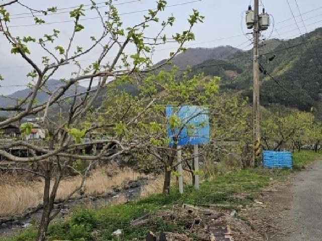 B0004212025013003067626.jpg