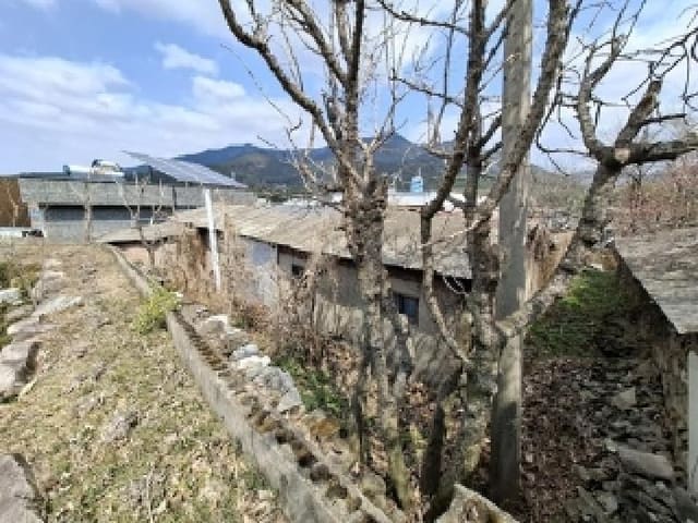 B000421202501300306932.jpg