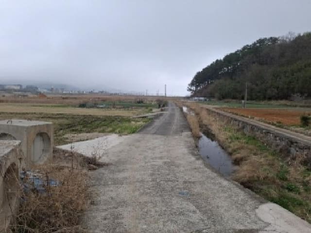 B000421202501300306991.jpg
