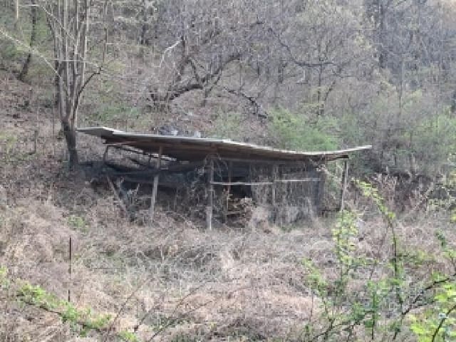 B000421202501300307063.jpg