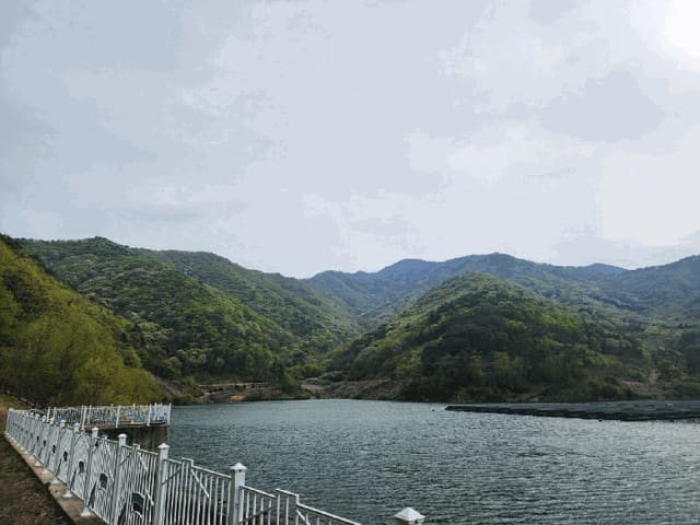 B000421202501300307094.jpg