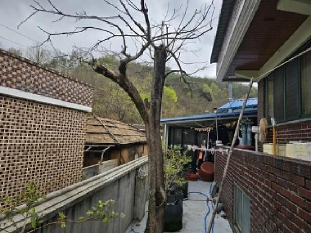 B000421202501300307189.jpg