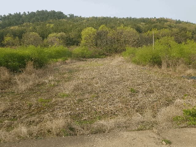B000421202501300307254.jpg