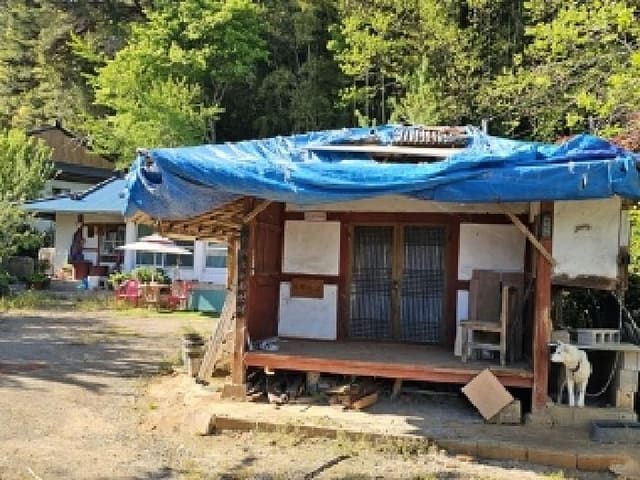 B000421202501300307262.jpg
