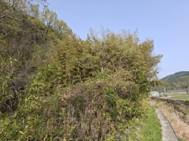 B000421202501300307293.jpg