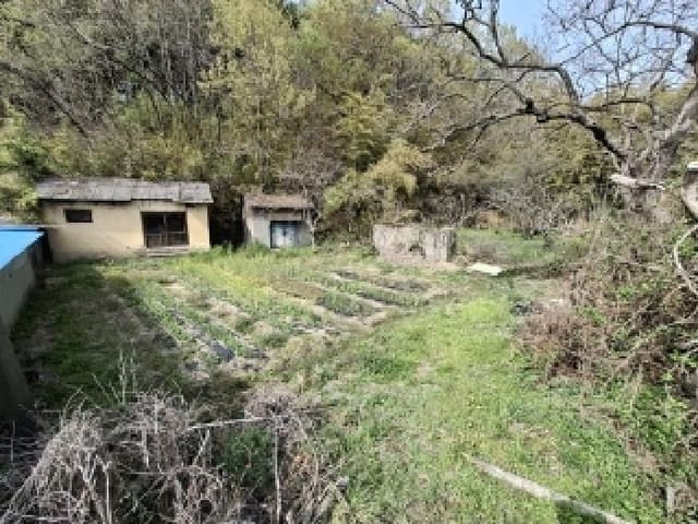 B000421202501300307292.jpg