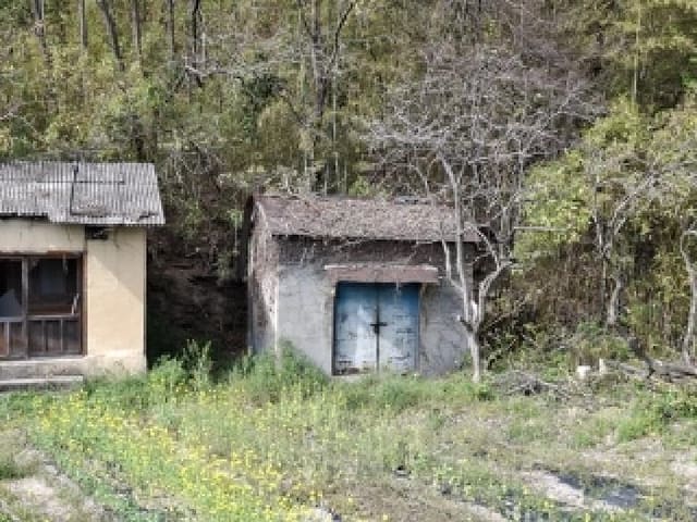 B000421202501300307294.jpg