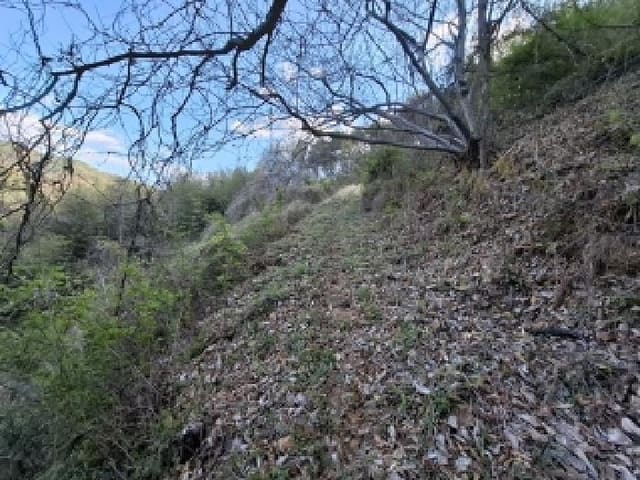 B000421202501300307524.jpg