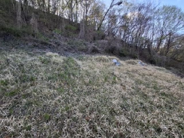 B000421202501300307522.jpg