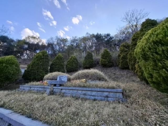 B000421202501300307521.jpg