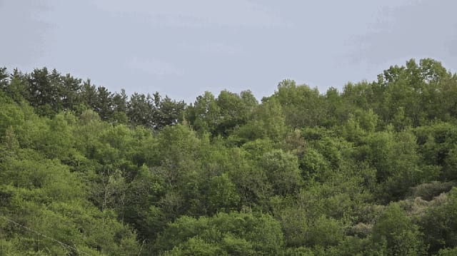 B000421202501300307592.jpg
