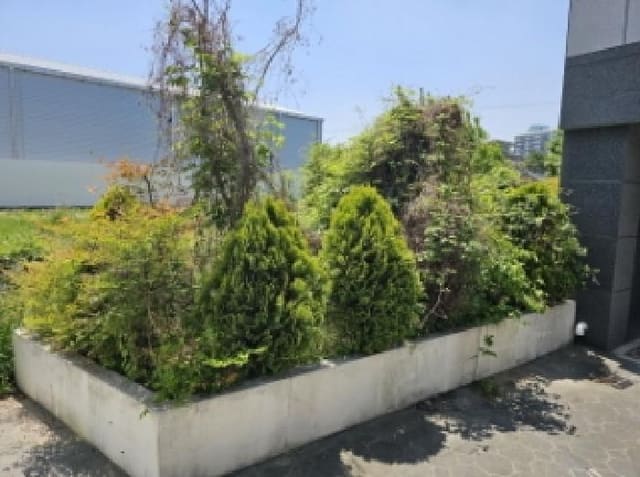 B000421202501300307654.jpg