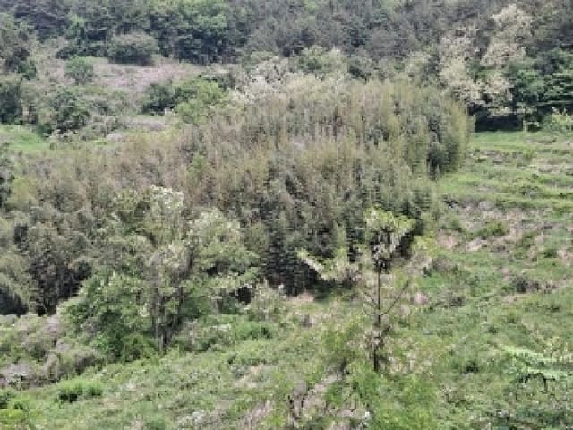 B000421202501300307784.jpg