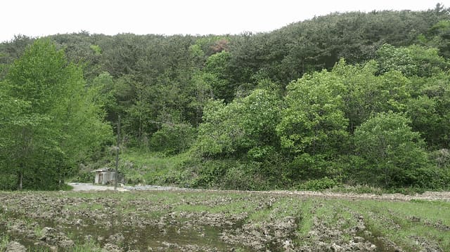 B000421202501300307803.jpg