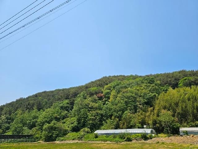 B000421202501300307801.jpg