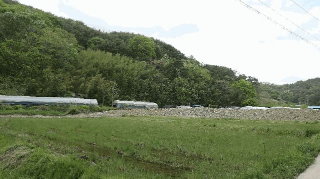 B000421202501300307804.jpg