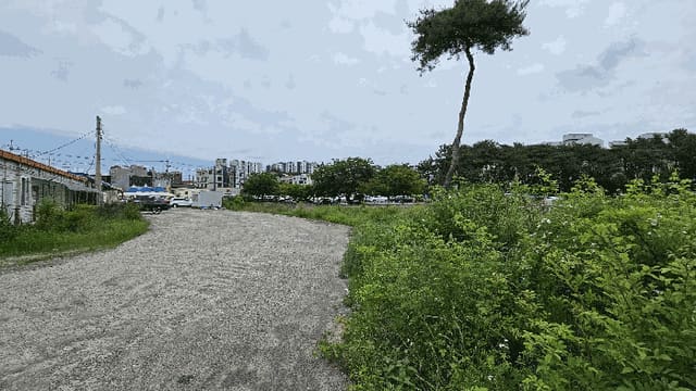 B0004212025013003084119.jpg
