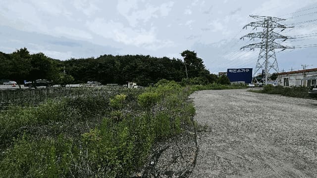 B0004212025013003084120.jpg