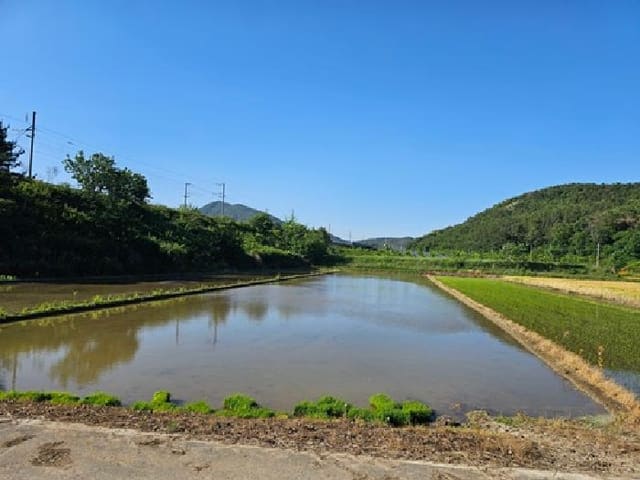 B000421202501300308492.jpg