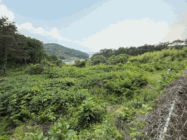 B000421202501300308554.jpg