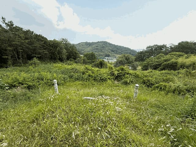 B000421202501300308556.jpg