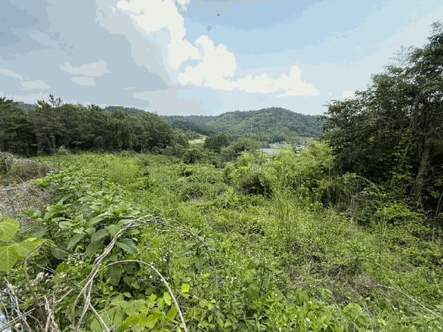 B000421202501300308555.jpg