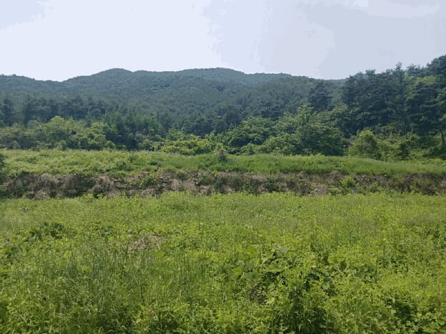 B000421202501300308593.jpg